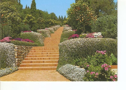 Postal 022313 : Jardin Botanico Mar i Murtra, Blanes - Costa Brava