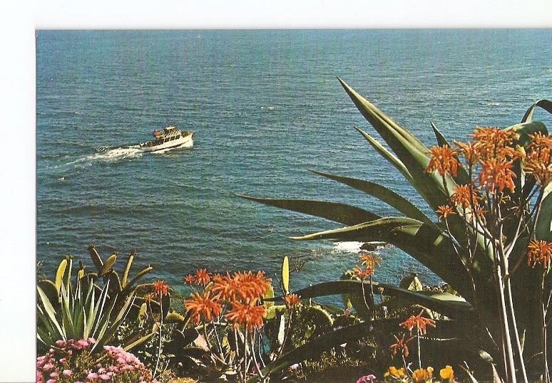 Postal 022318 : Jardin Botanico Mar i Murtra, Blanes - Costa Brava