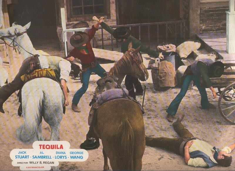 Caratula cine: Tequila, un film de Willy S.Regan , numerada 05 en trasera