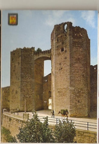 Postal 026483 : Portal de San Miguel (Castellon)