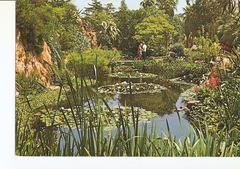 Postal 022308 : Jardin Botanico Mar i Murtra, Blanes - Costa Brava