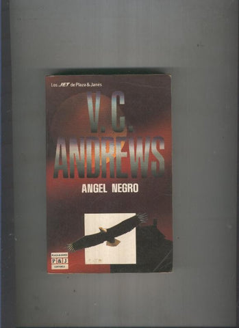 Angel negro