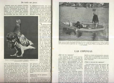 Las esponjas y La orientacion de las palomas mensajeras