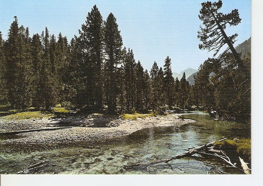 Postal 029394 : Parque Nacional dAigues Tortes