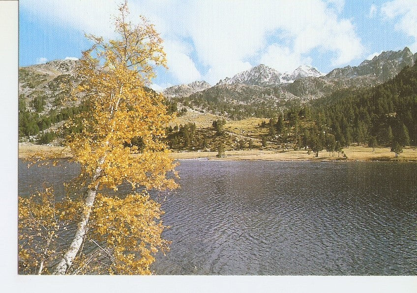 Postal 029395 : Pirineu Catala Parc Nacional dAigues Tortes. Estany Llong