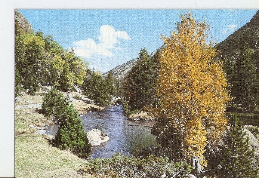 Postal 029403 : Pirineu Catala Parc Nacional dAigues Tortes. Riu Sant Nicolau