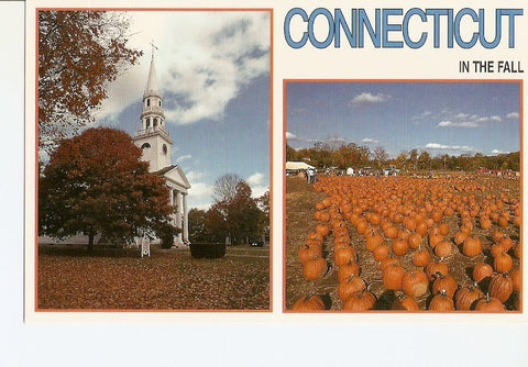 Postal 029441 : Connecticut in the Fall