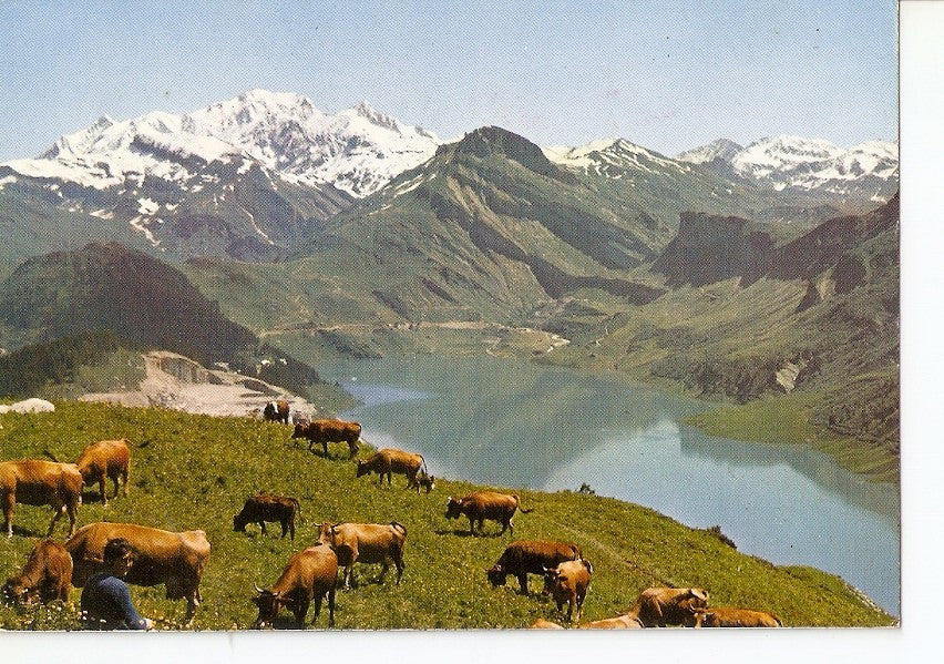Postal 029463 : LEte Dans les Alpes Paturage au bord dun lac de montagne