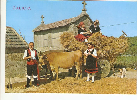 Postal 029519 : Galicia. Camiño da Eira