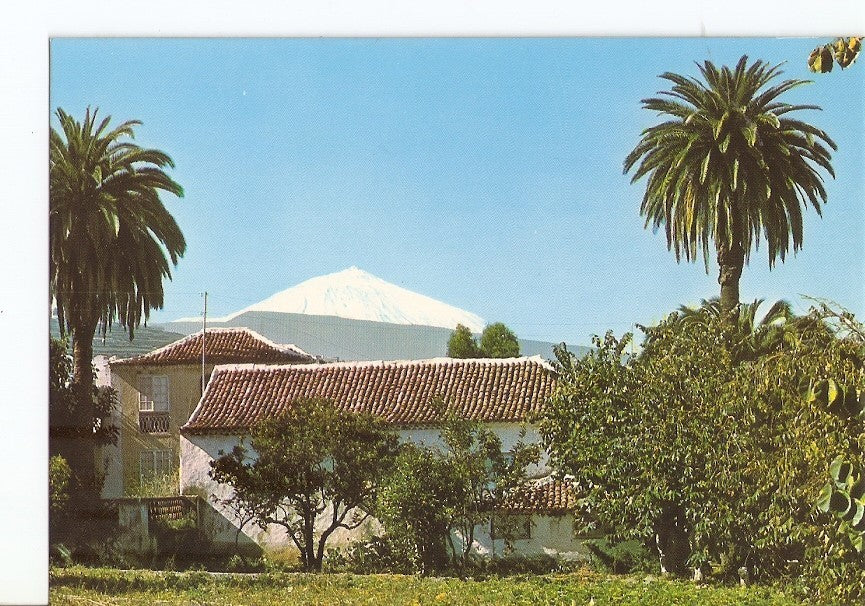 Postal 029544 : Puerto de la Cruz (Tenerife). Vista con Teide