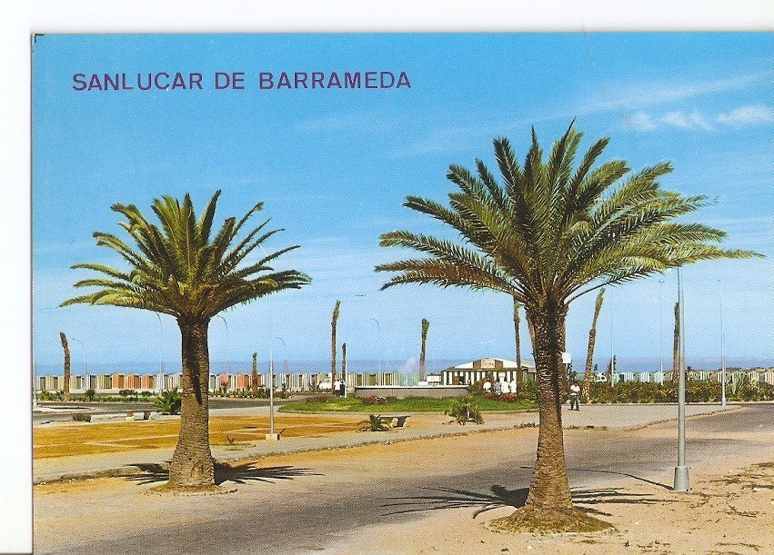 Postal 029592 : Sanlucar de Barrameda. Paseo Maritimo Luis Nozal Lopez