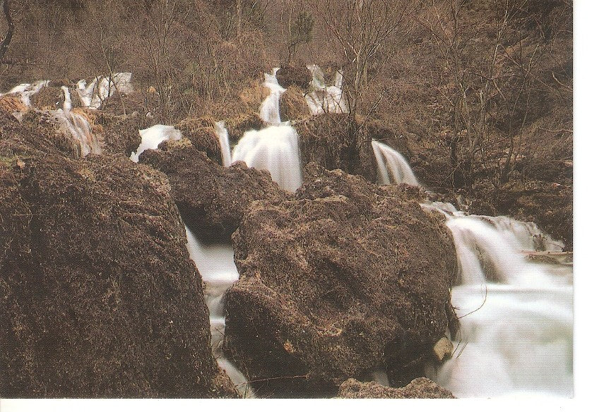 Postal 029631 : Agua y Piedra Los Chorros Riopar (Albacete)