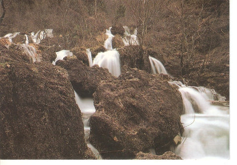 Postal 029631 : Agua y Piedra Los Chorros Riopar (Albacete)