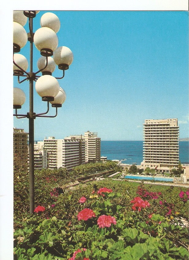 Postal 029635 : Puerto de la Cruz Flores y Hoteles - Tenerife