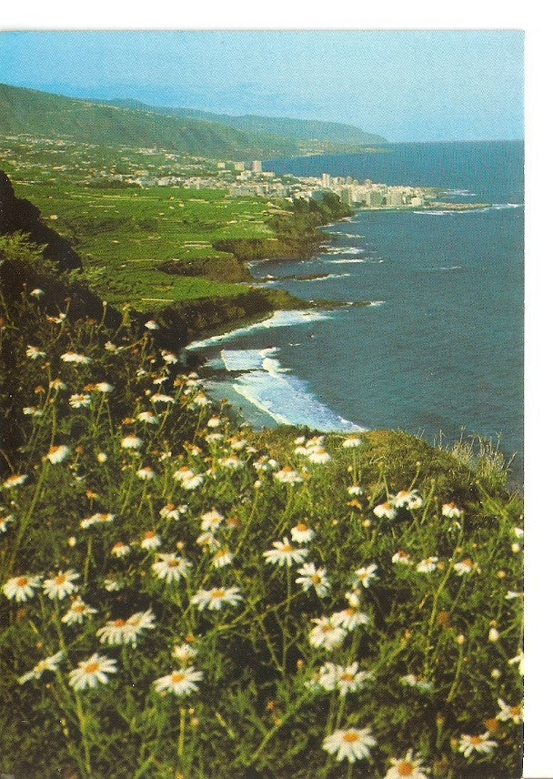 Postal 029697 : Puerto de la Cruz (Tenerife). Vista de la Costa Norte y Ciudad al fondo