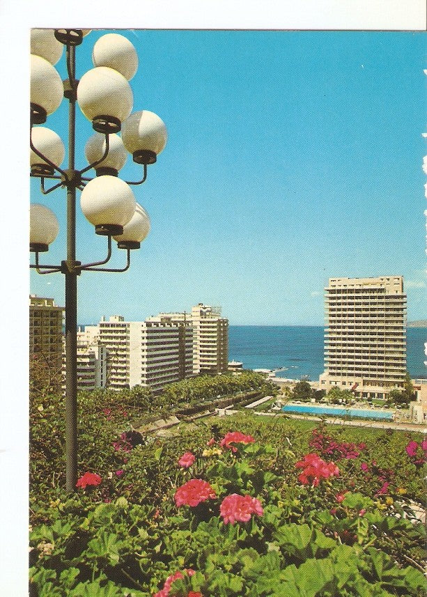 Postal 029700 : Puerto de Cruz Flores y Hoteles