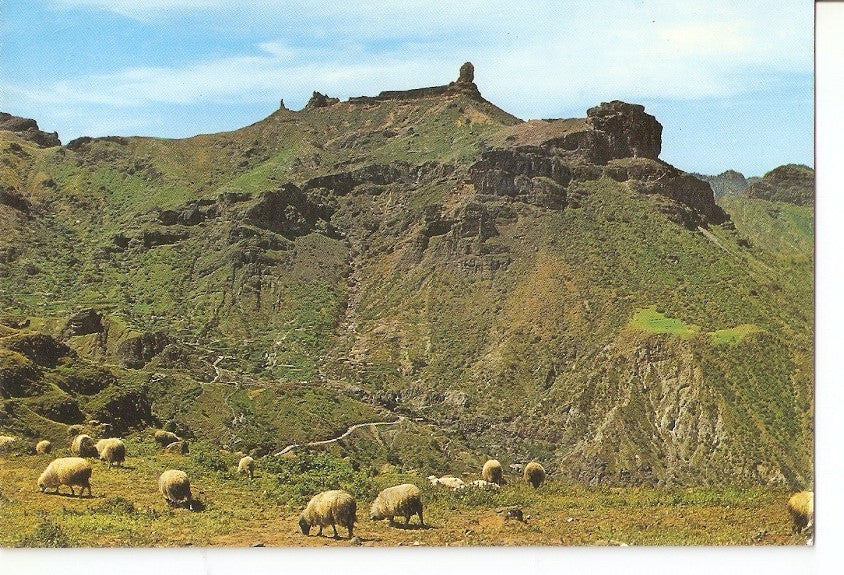 Postal 029703 : Gran Canaria Tejeda. Vista panoramica con el Roque Nublo al fondo