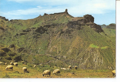Postal 029703 : Gran Canaria Tejeda. Vista panoramica con el Roque Nublo al fondo