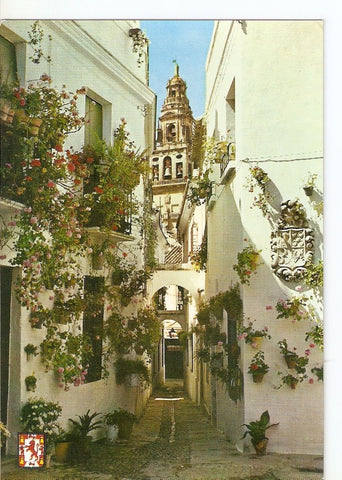 Postal 029751 : Cordoba. Calleja de las Flores