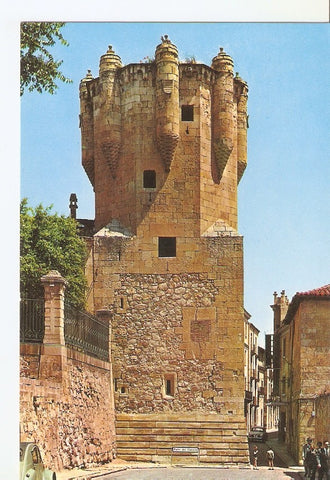 Postal 029778 : Salamanca Torre del Clavero