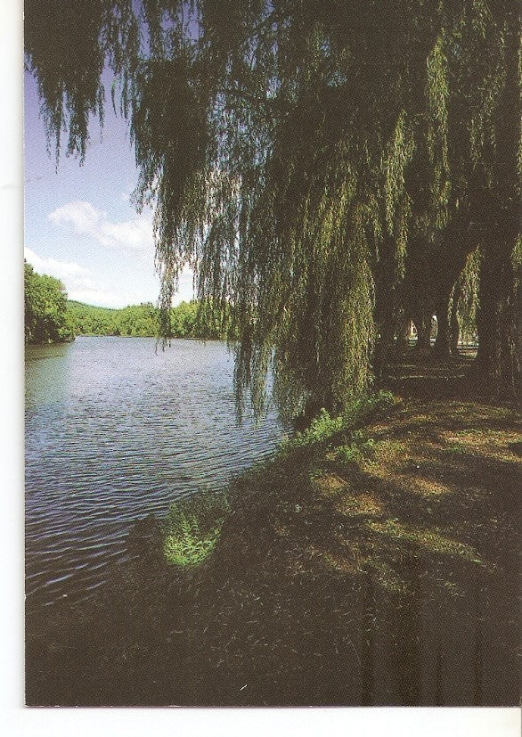 Postal 030032 : Willows along the historic Housatonic River New Milford - Connecticut
