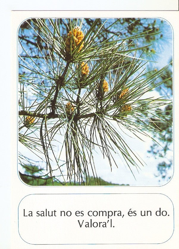 Postal 029820 : La salut no es compra es un do. Valoral