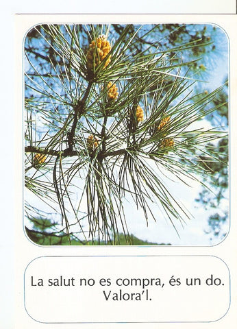 Postal 029820 : La salut no es compra es un do. Valoral