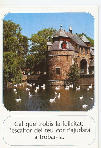 Postal 029821 : Cal que trobis la felicitat lescalfor del teu cor tajudara a trobar-la