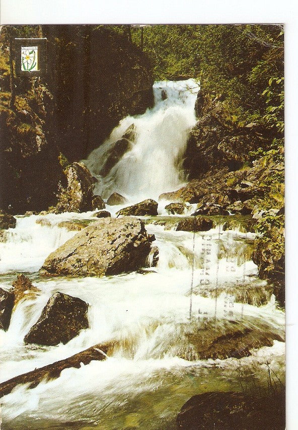 Postal 029845 : Valls dAndorra Arinsal