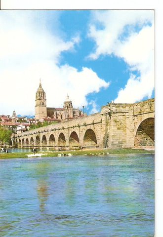 Postal 029887 : Salamanca. Puente Romano