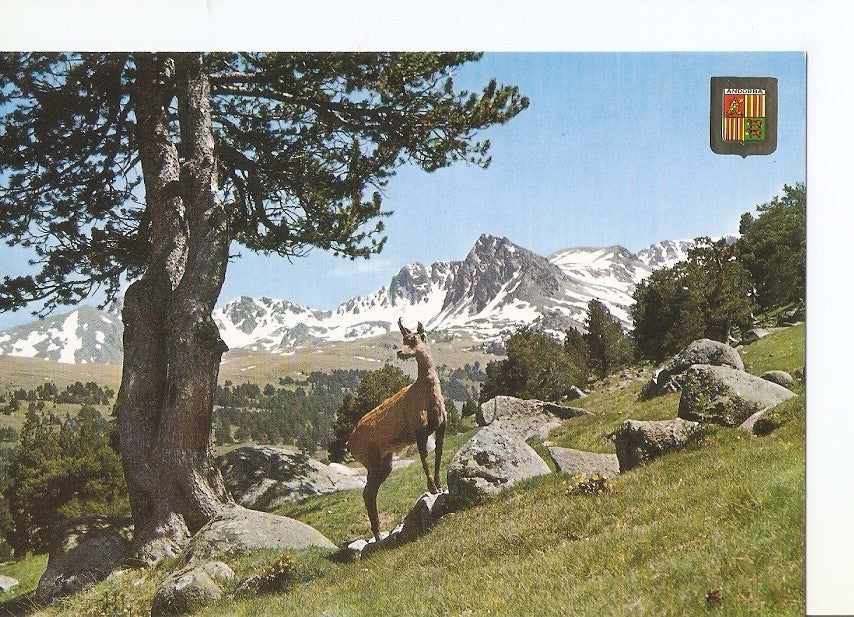 Postal 030020 : Valls dAndorra Vall dEnvalira