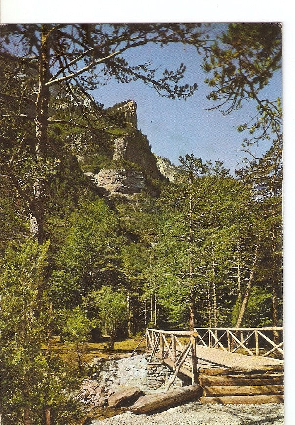 Postal 030056 : Parque Nacional de Ordesa (Pirineo Aragones). Puente rustico sobre el rio Arazas. Al fondo la Proa