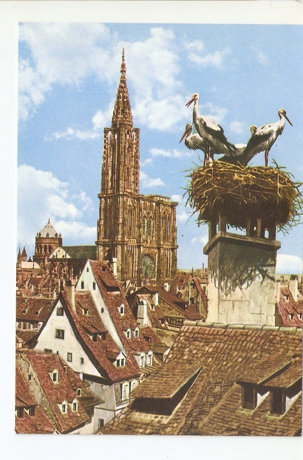 Postal 030075 : Strasbourg (Bas-Rhin) Les Cigognes