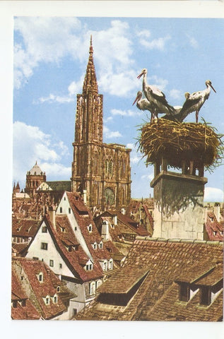 Postal 030075 : Strasbourg (Bas-Rhin) Les Cigognes