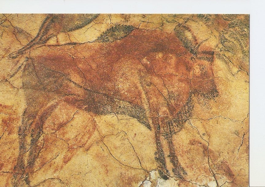Postal 030188 : Cuevas de Altamira. Gran Bisonte