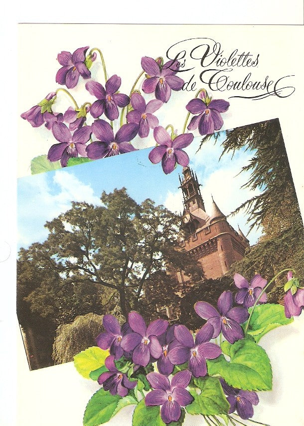 Postal 030212 : Toulouse cite des Violettes. Le Donjon du Capitole