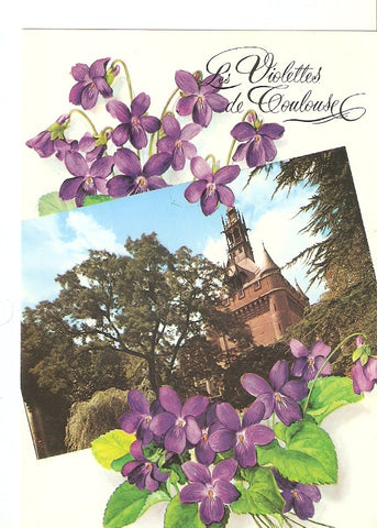 Postal 030212 : Toulouse cite des Violettes. Le Donjon du Capitole