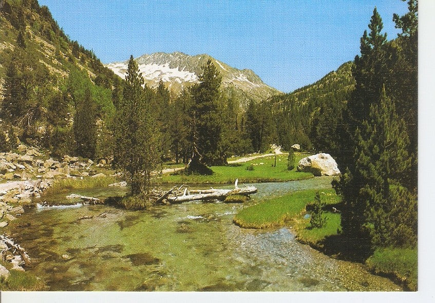 Postal 030214 : Parc Nacional dAigues Tortes Planell de Sant Esperit