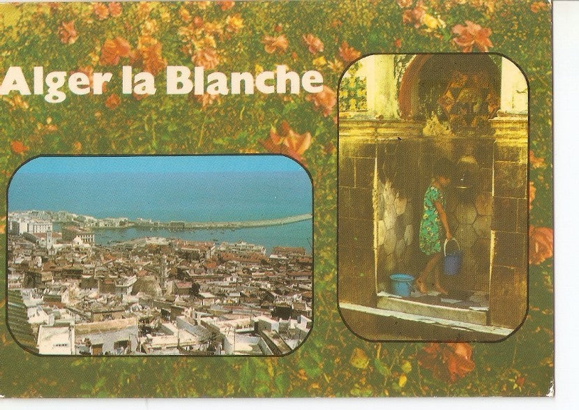 Postal 030243 : Souvenir dAlger la Blanche