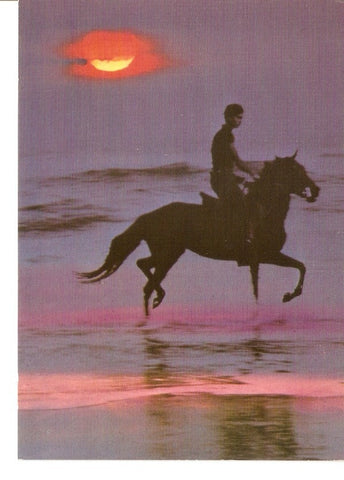Postal 030262 : Cavalier au courcher du soleil