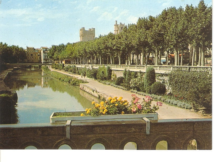 Postal 030286 : Narbonne (Aude) Le Canal de la Robine Au fond: LHotel de Ville et la Cathedrale