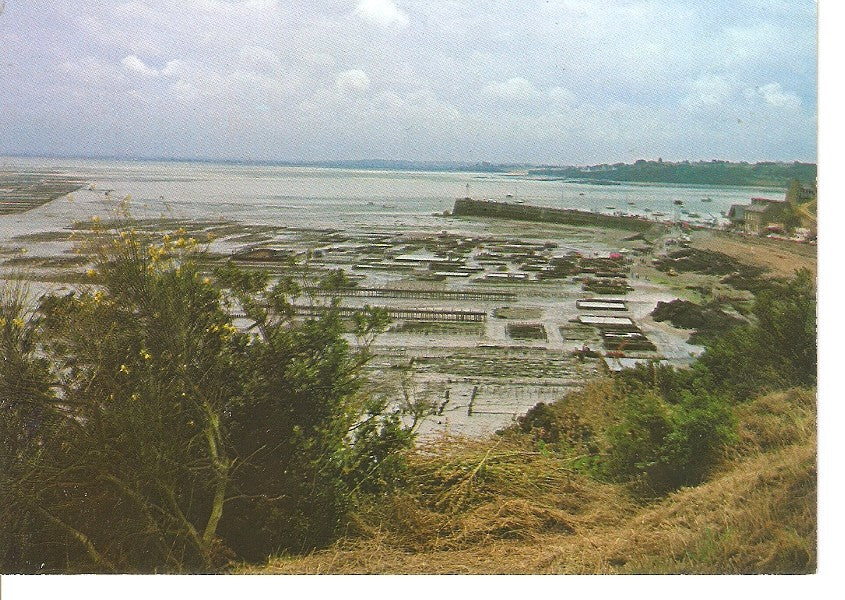 Postal 030289 : Parcs A Huitres