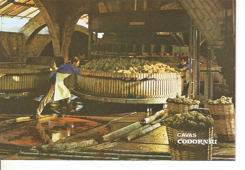 Postal 030376 : Cavas Codorniu. Prensado de la uva