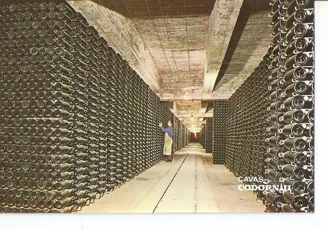 Postal 030378 : Cavas Codorniu. Botellas envejeciendo