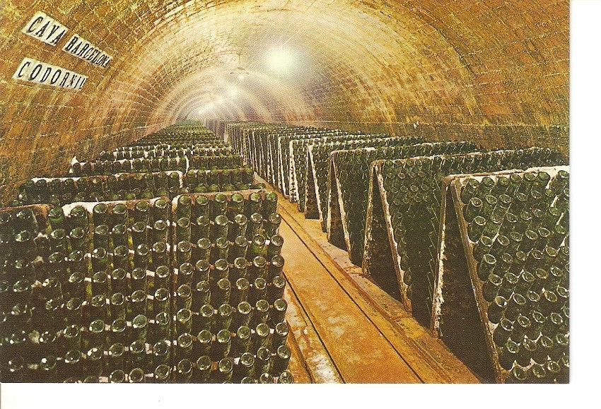 Postal 030379 : Cavas Codorniu. Botellas en pupitre