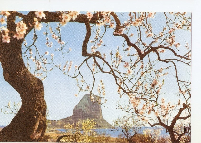 Postal 030431 : Calpe (Alicante) Peñon de Ifach