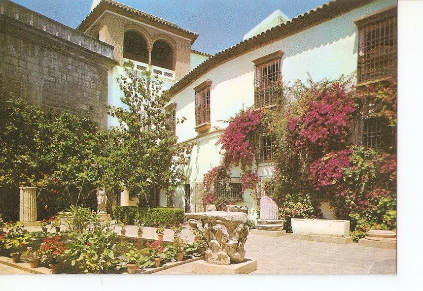 Postal 030462 : Cordoba. Museo Arqueologico