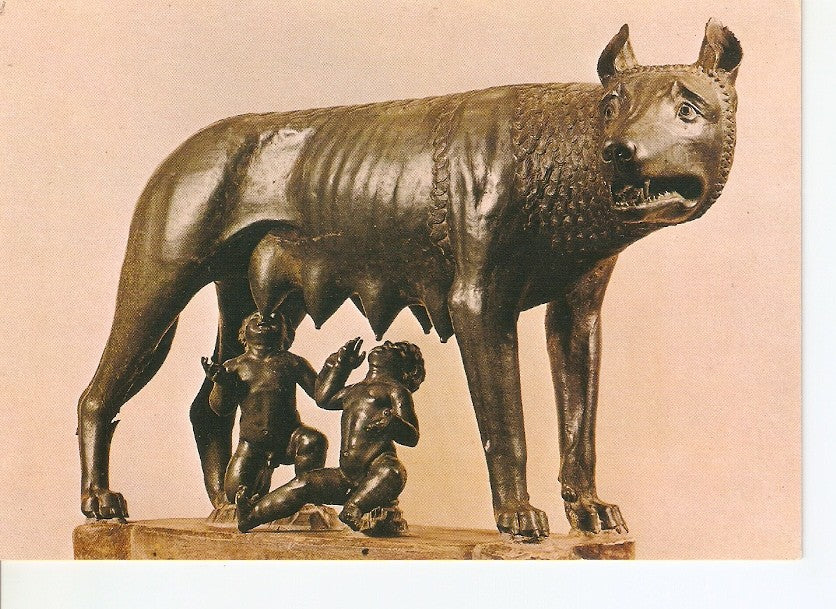 Postal 030475 : Roma Musei Capitolini