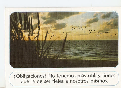Postal 030564 : Playa y bandada de pajaros