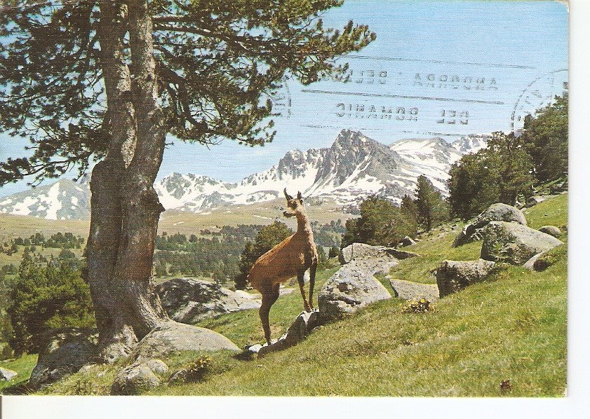Postal 030577 : Valls dAndorra Vall dEnvalira